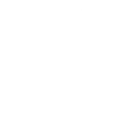 eine weiße Schwalbe vom Webdesigner